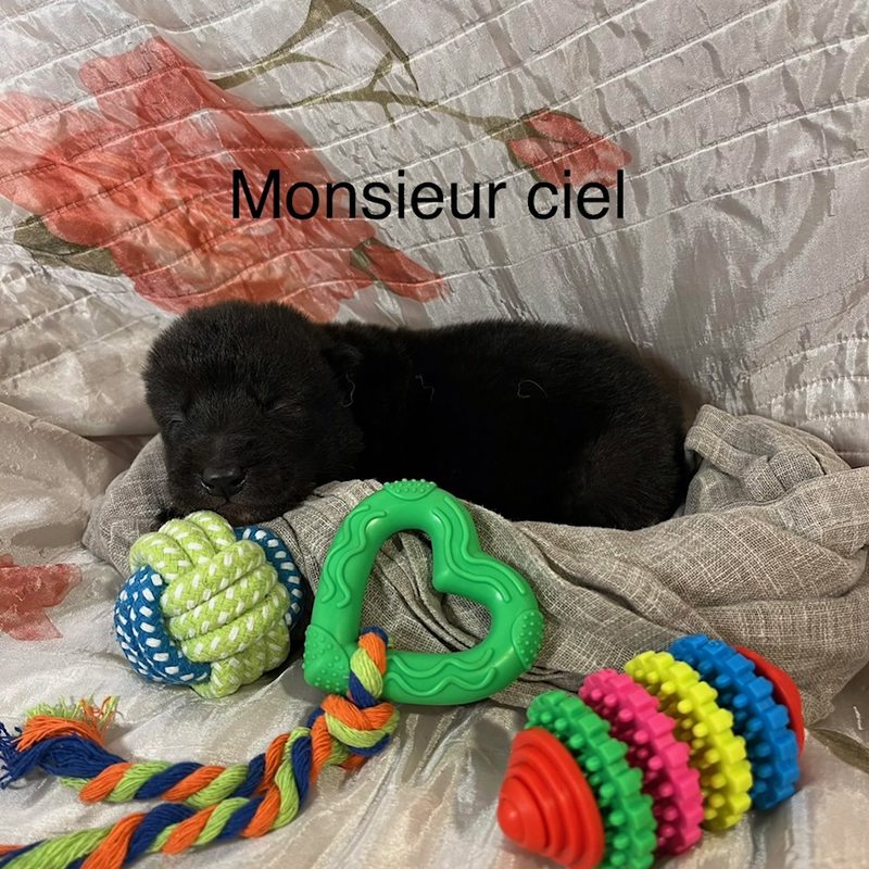 Ciel 7